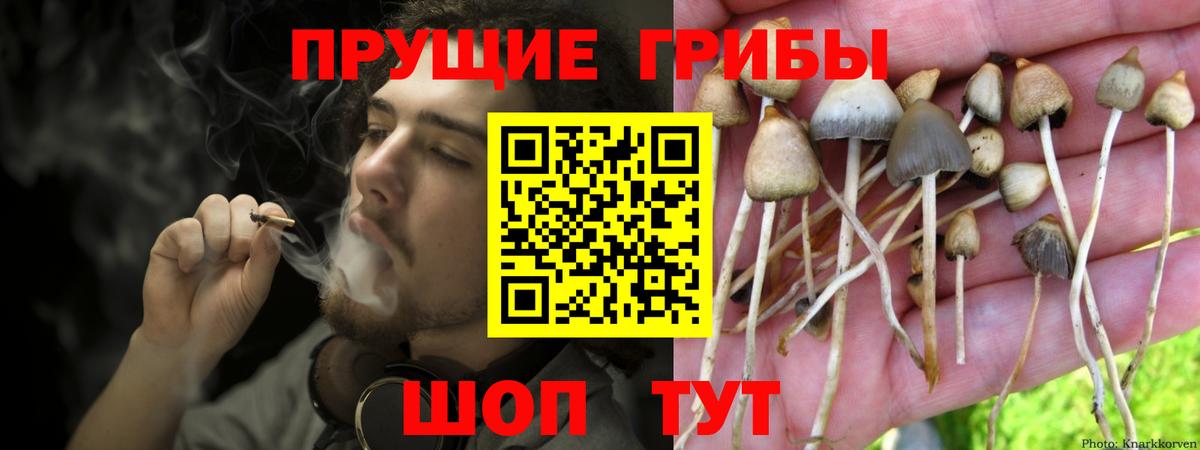 Псилоцибиновые грибы Magic Shrooms Батайск
